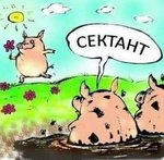 QrCKpQKUvJY.jpg