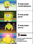 15378185.jpg