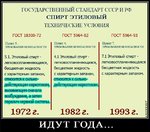 12276487.jpg