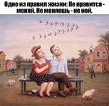 16042770.jpg