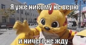 IMG_8143.jpeg IMG_8143.jpeg