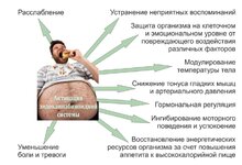 IMG_8447.jpeg