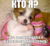 1757716532646.png