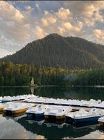 IMG_8773.jpeg