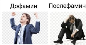 IMG_9285.jpeg IMG_9285.jpeg