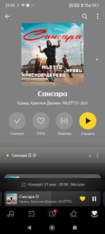 Screenshot_2026-02-20-23-33-47-459_ru.yandex.music~2.jpg