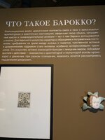 IMG_8377.jpeg
