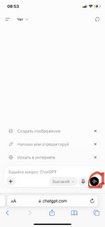 IMG_0520.jpeg